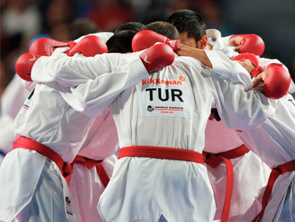Homologated items safety karate
